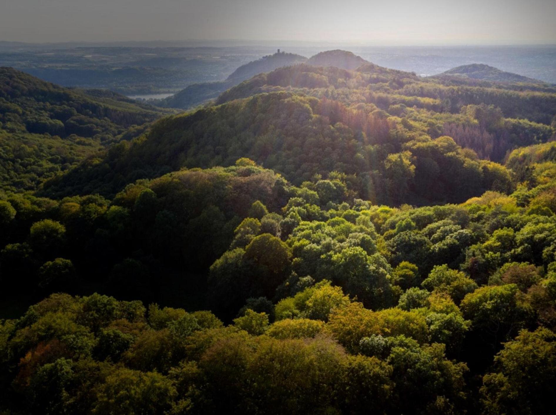 Studio-Loft Siebengebirge Westerwald Erpel 外观 照片